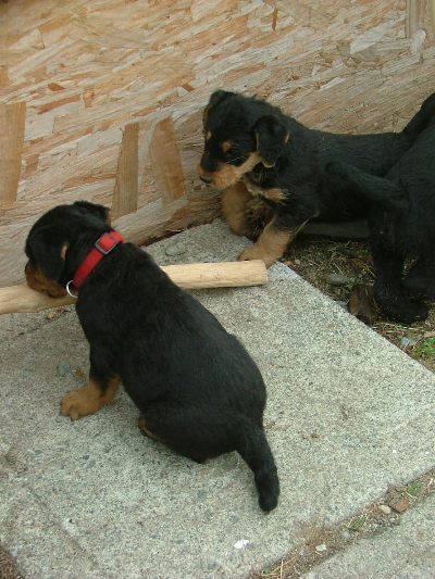 Pablo&Banjo